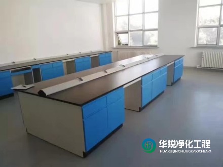 實驗室凈化~潔凈實驗室建設(shè)施工要點選擇華銳凈化的優(yōu)勢